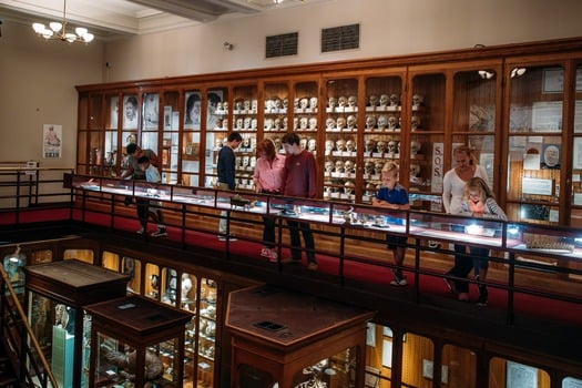 Mütter Museum of The College of Physicians of Philadelphia