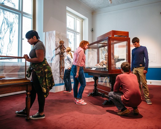 Mütter Museum of The College of Physicians of Philadelphia