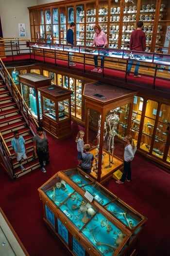 Mütter Museum of The College of Physicians of Philadelphia