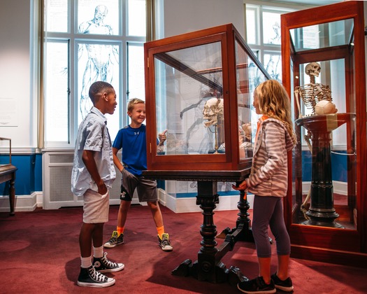 Mütter Museum of The College of Physicians of Philadelphia