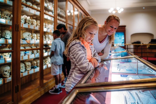 Mütter Museum of The College of Physicians of Philadelphia