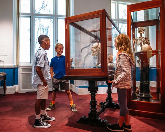 Mütter Museum of The College of Physicians of Philadelphia