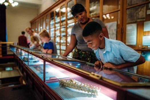 Mütter Museum of The College of Physicians of Philadelphia