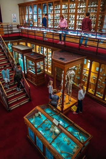 Mütter Museum of The College of Physicians of Philadelphia