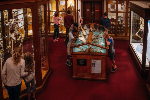 Mütter Museum of The College of Physicians of Philadelphia