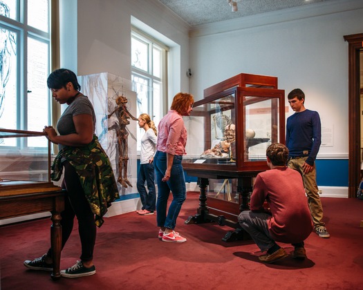 Mütter Museum of The College of Physicians of Philadelphia