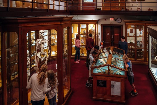 Mütter Museum of The College of Physicians of Philadelphia