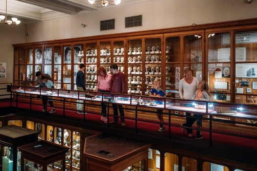 Mütter Museum of The College of Physicians of Philadelphia