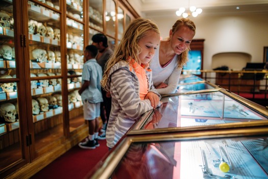 Mütter Museum of The College of Physicians of Philadelphia