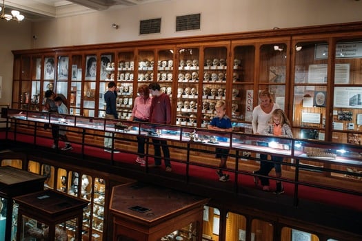 Mütter Museum of The College of Physicians of Philadelphia