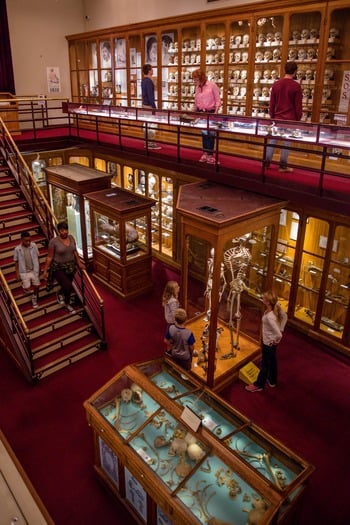 Mütter Museum of The College of Physicians of Philadelphia