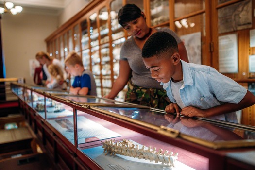 Mütter Museum of The College of Physicians of Philadelphia