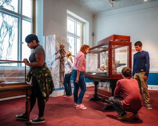 Mütter Museum of The College of Physicians of Philadelphia