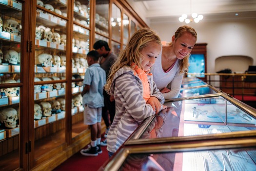 Mütter Museum of The College of Physicians of Philadelphia