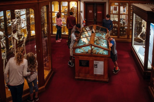 Mütter Museum of The College of Physicians of Philadelphia