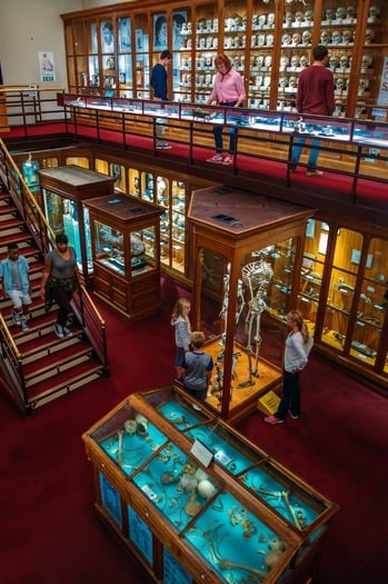 Mütter Museum of The College of Physicians of Philadelphia