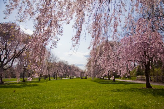 Fairmount Park's Horticulture Center