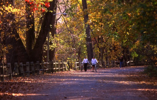 Fairmount Park