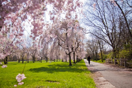 Fairmount Park's Horticulture Center