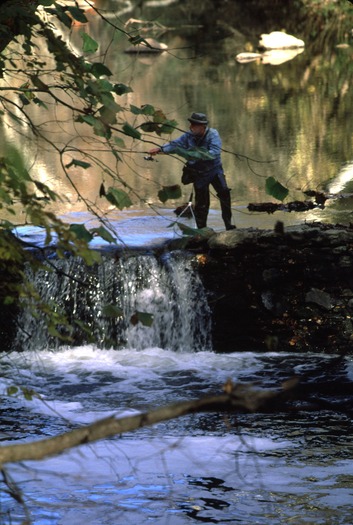 Fairmount Park Fishing