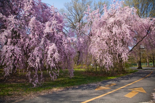 Fairmount Park's Horticulture Center