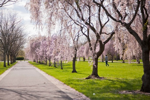 Fairmount Park's Horticulture Center