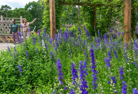 Bartram’s Garden