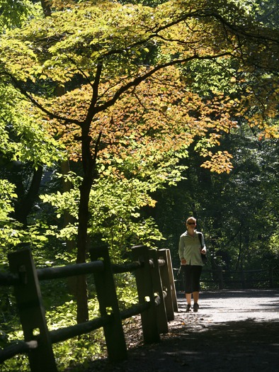 Wissahickon CreekWissahickon Creek