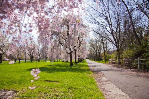 Fairmount Park's Horticulture Center