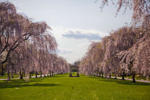 Fairmount Park's Horticulture Center