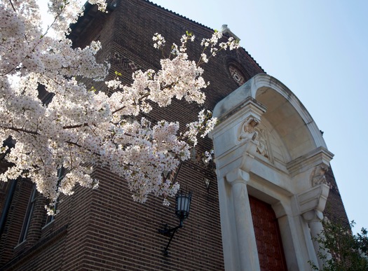 UPENN Museum of Archeology & Anthropology