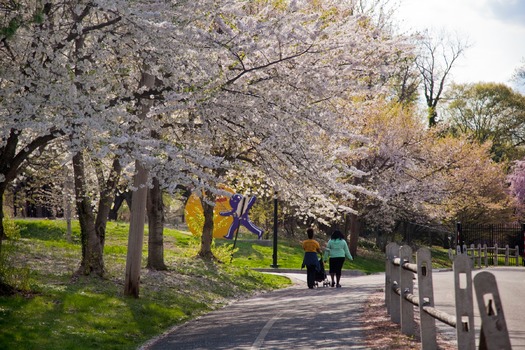 Fairmount Park