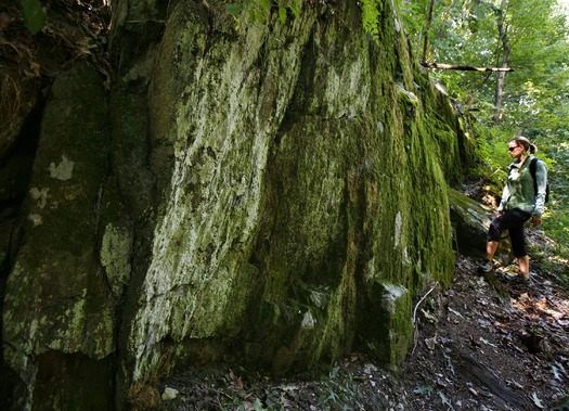 Wissahickon Creek