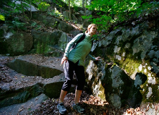 Wissahickon Creek