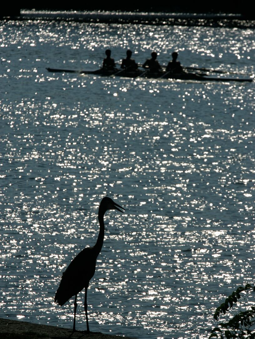 Rowing on the Schuylkill River