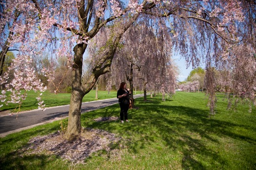 Fairmount Park's Horticulture Center