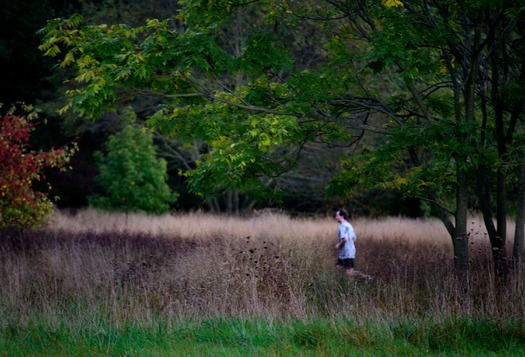 Neshaminy State Park