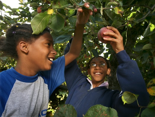 Merrymead Farm