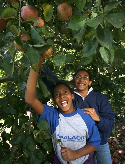 Merrymead Farm