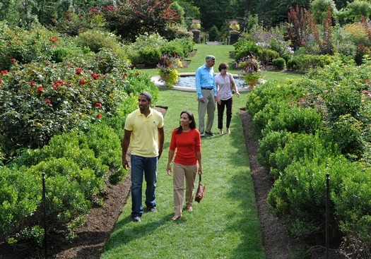 Morris Arboretum