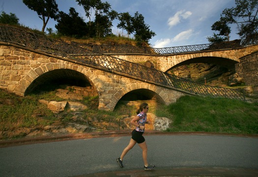 Schuylkill River Bank