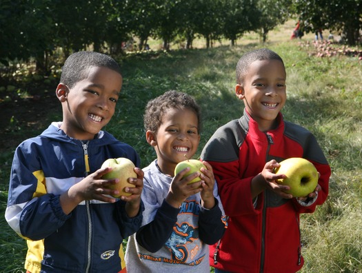 Merrymead Farm