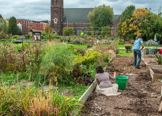 The Spring Gardens