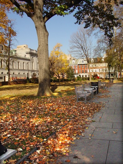 Washington Square Park