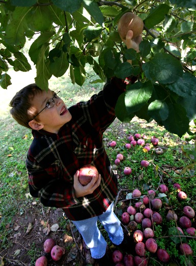 Merrymead Farm