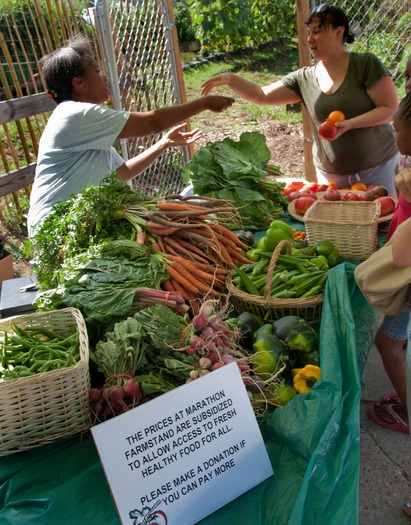 Marathon Farm