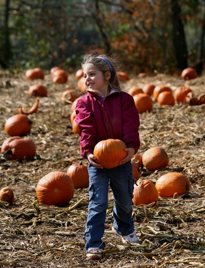 Merrymead Farm