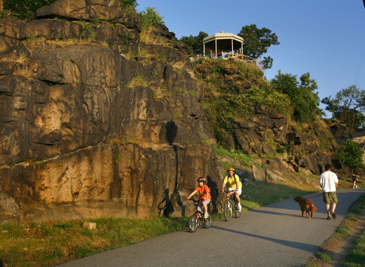 Schuylkill River Bank