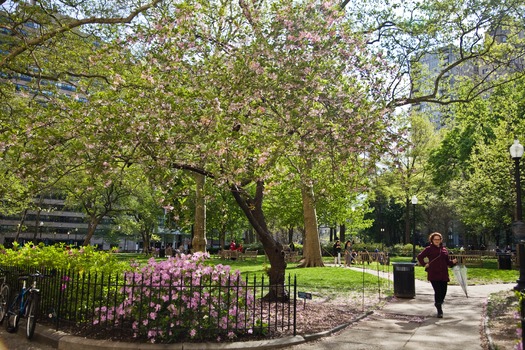 Rittenhouse Square