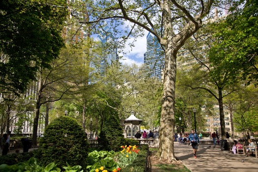 Rittenhouse Square